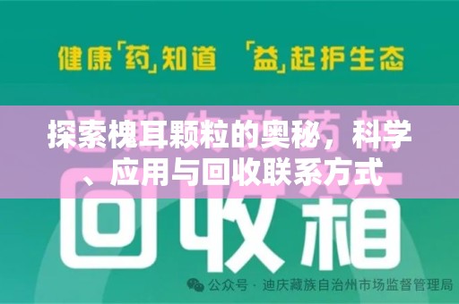 揭阳探索槐耳颗粒的奥秘，科学、应用与回收联系方式